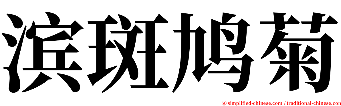 滨斑鸠菊 serif font