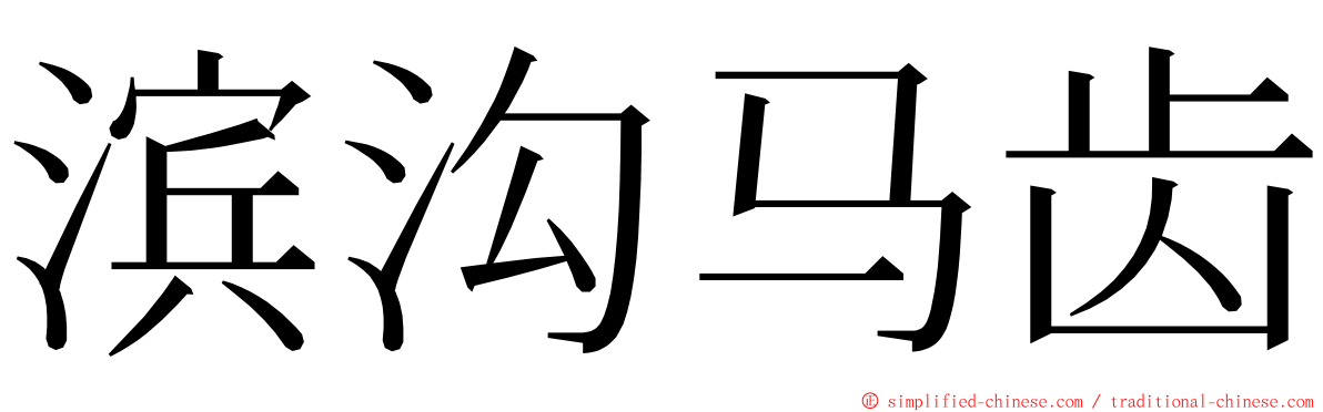 滨沟马齿 ming font