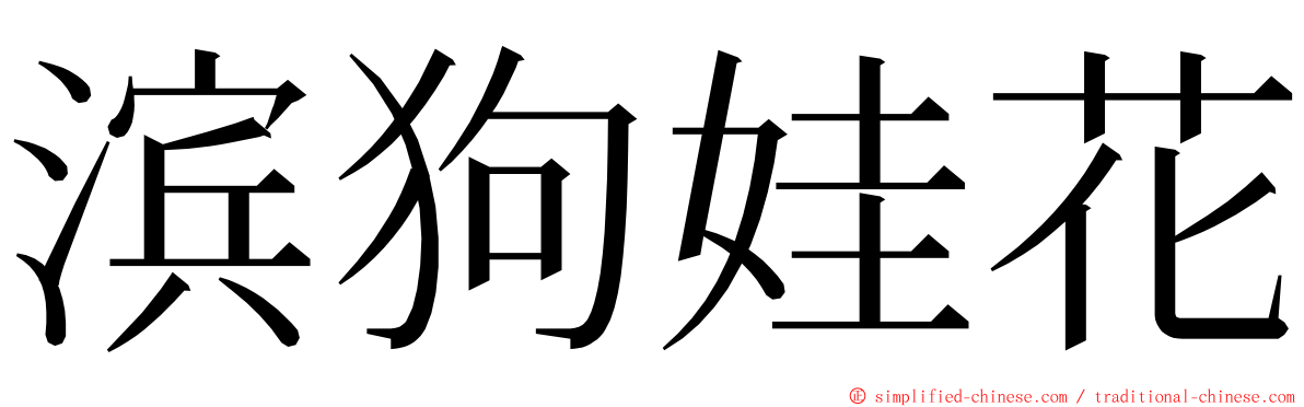 滨狗娃花 ming font