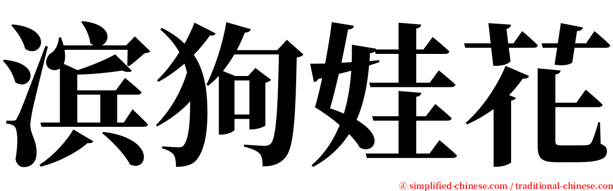 滨狗娃花 serif font