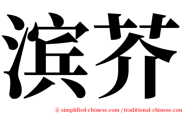 滨芥 serif font