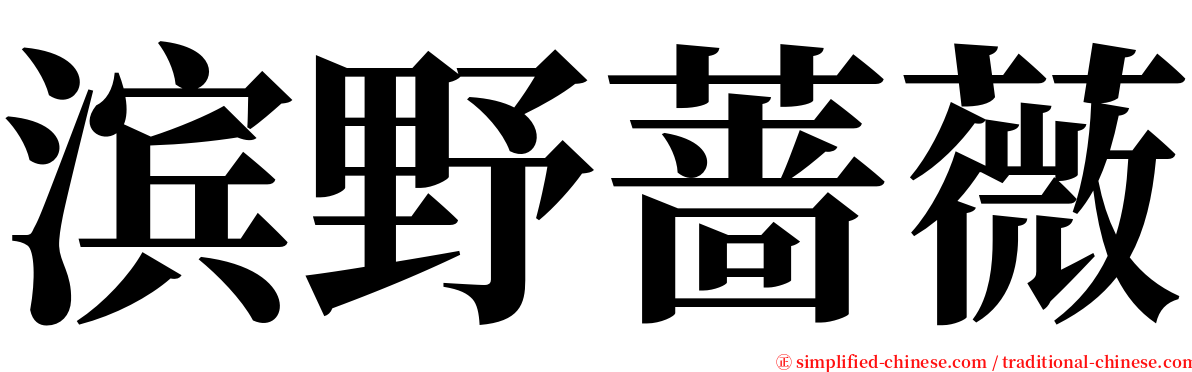 滨野蔷薇 serif font