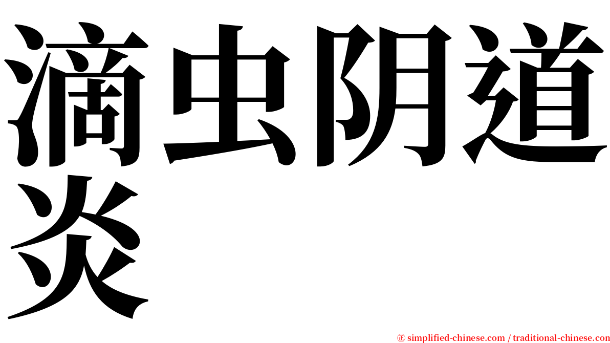 滴虫阴道炎 serif font