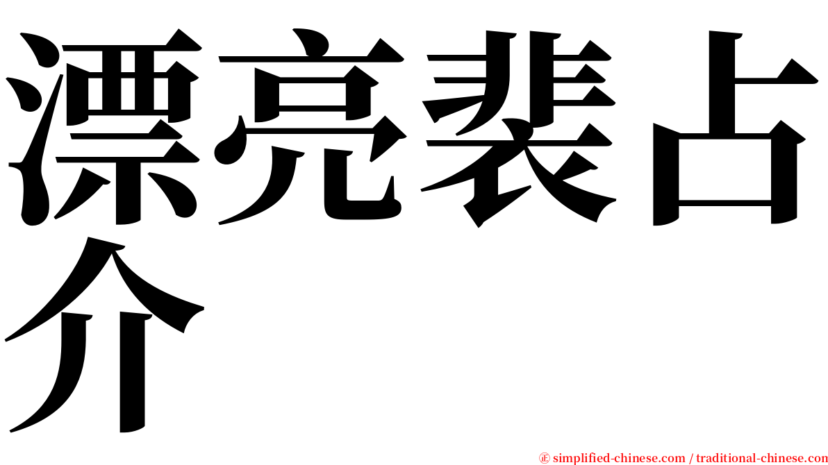 漂亮裴占介 serif font