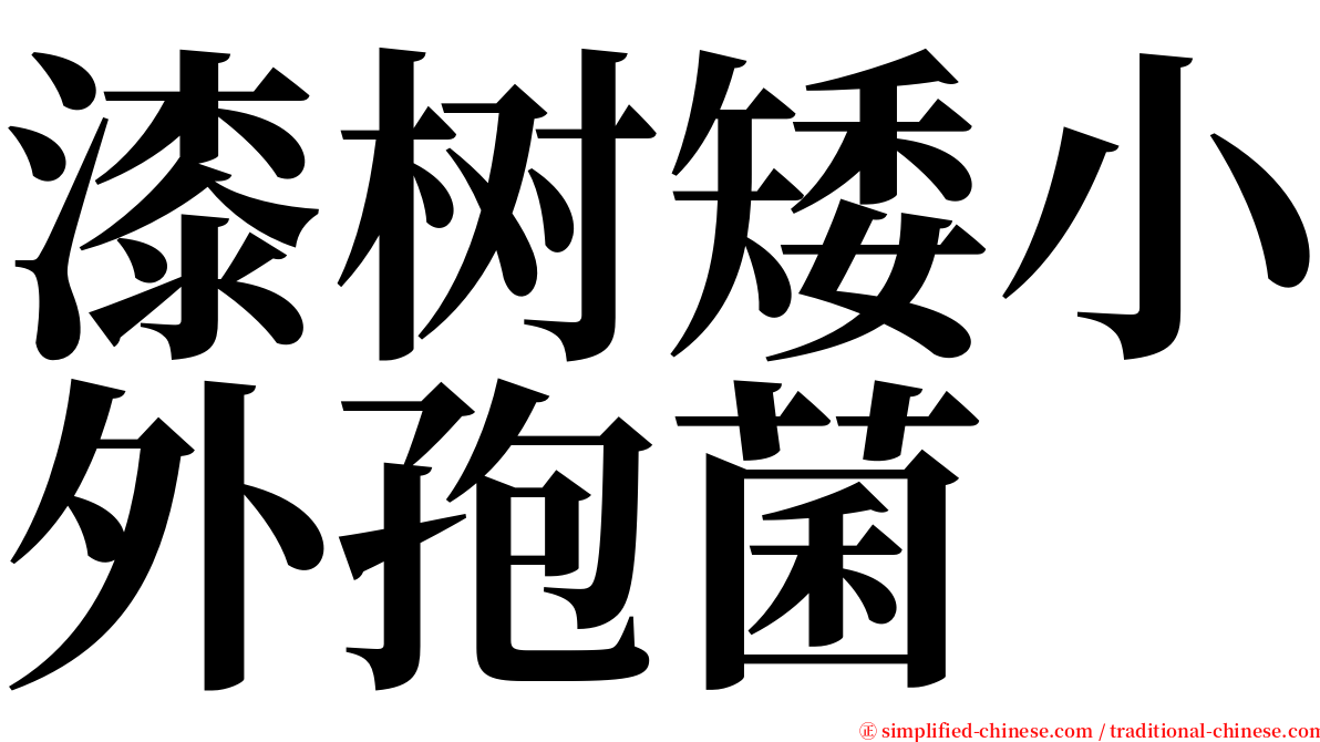 漆树矮小外孢菌 serif font