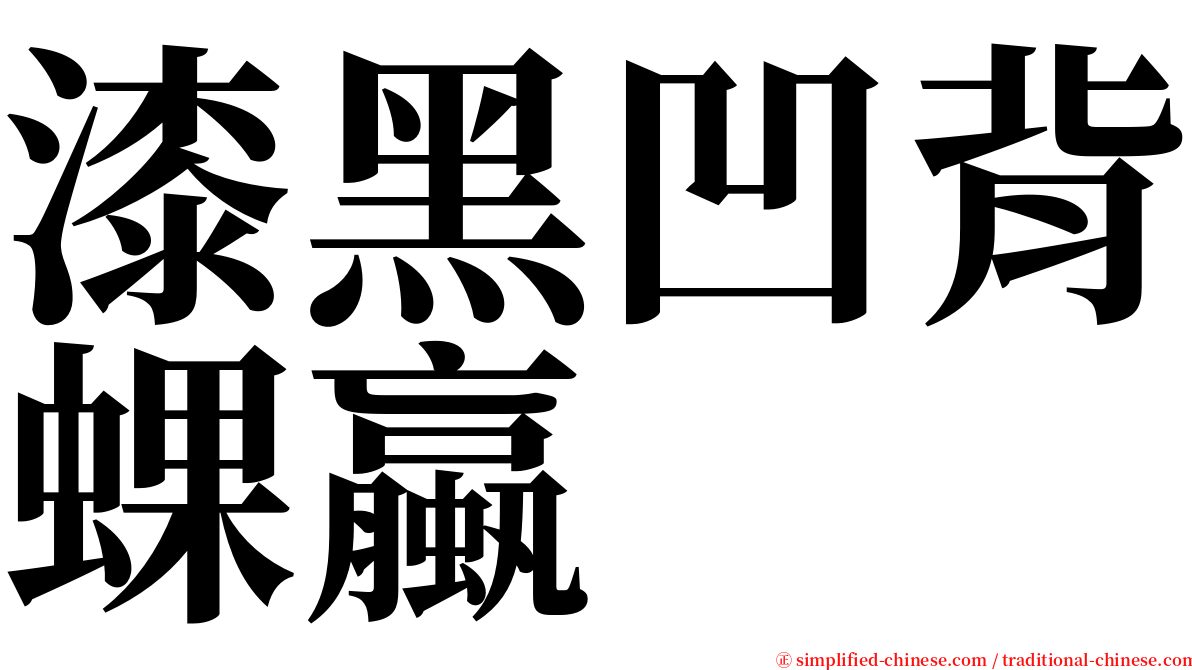 漆黑凹背蜾蠃 serif font