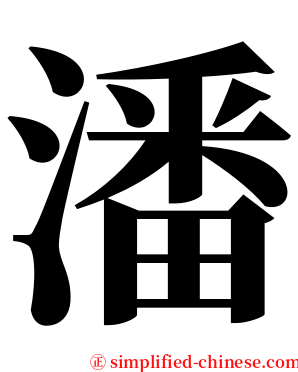 潘 serif font