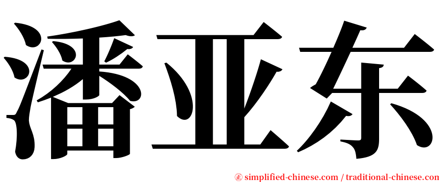 潘亚东 serif font