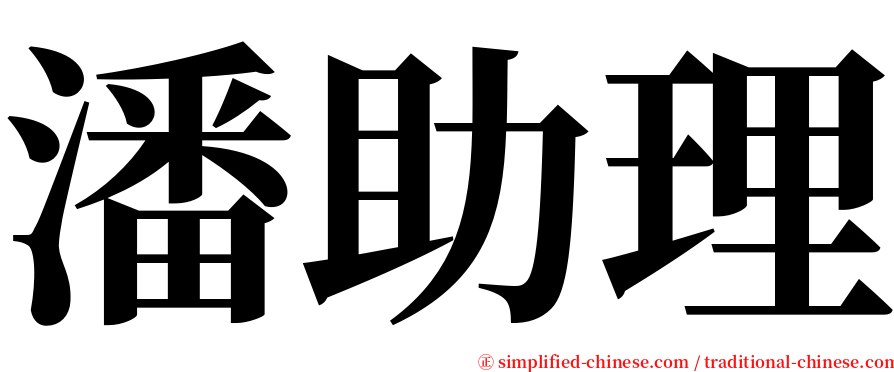 潘助理 serif font