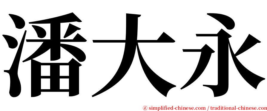 潘大永 serif font