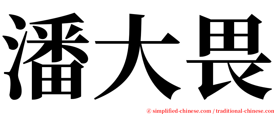 潘大畏 serif font