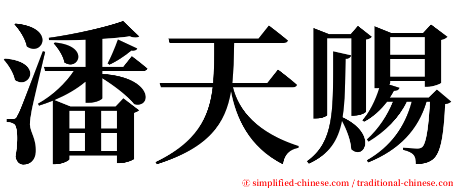 潘天赐 serif font