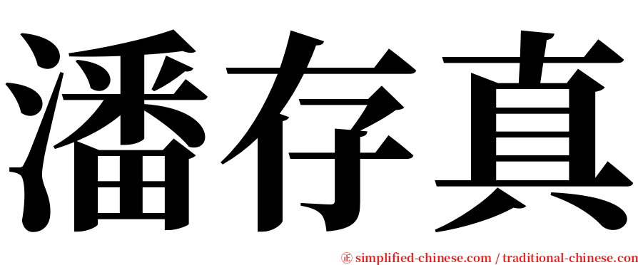 潘存真 serif font