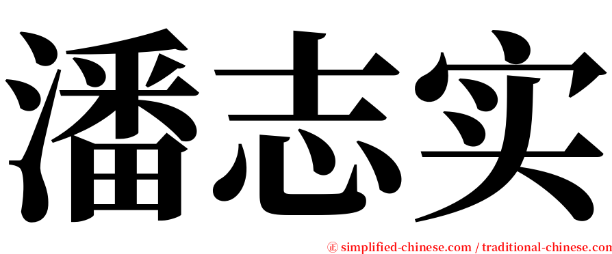 潘志实 serif font