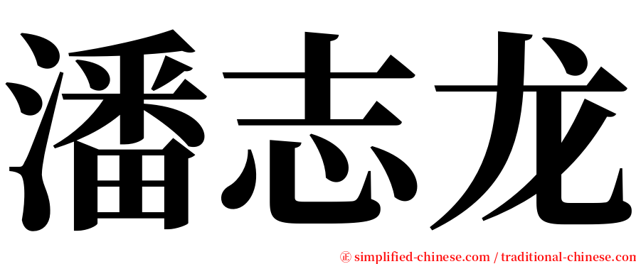 潘志龙 serif font