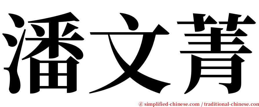 潘文菁 serif font