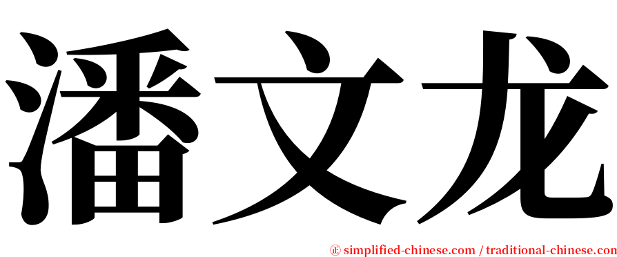潘文龙 serif font