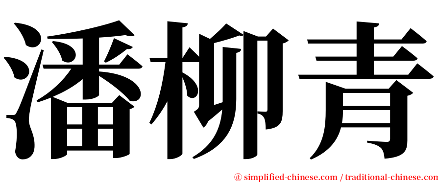 潘柳青 serif font