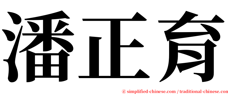 潘正育 serif font