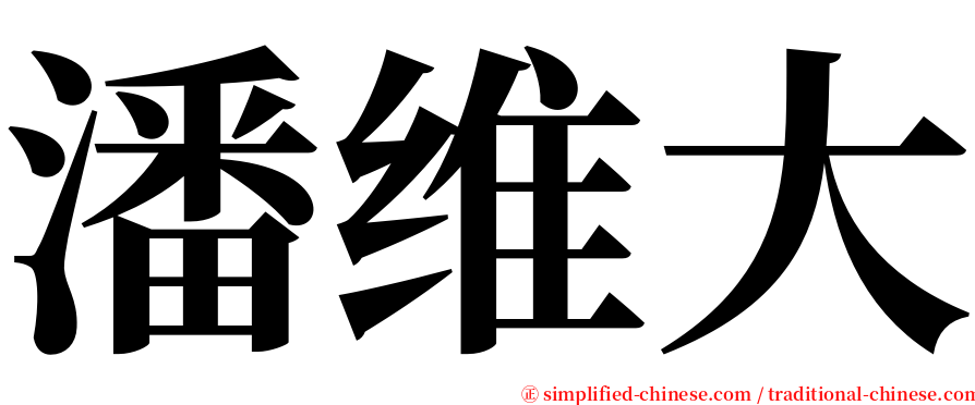 潘维大 serif font