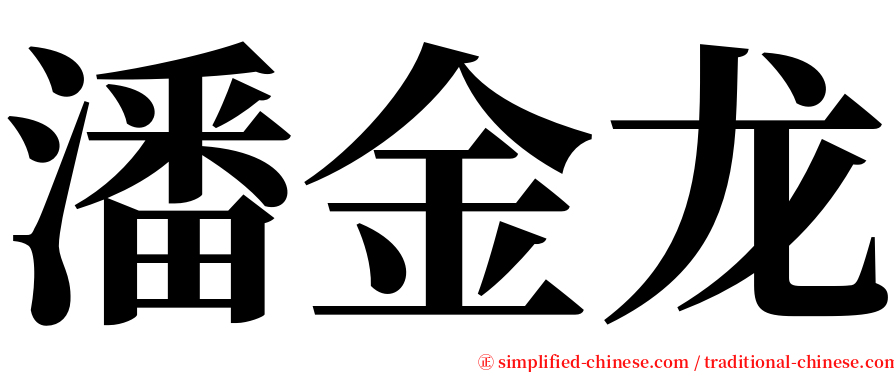 潘金龙 serif font