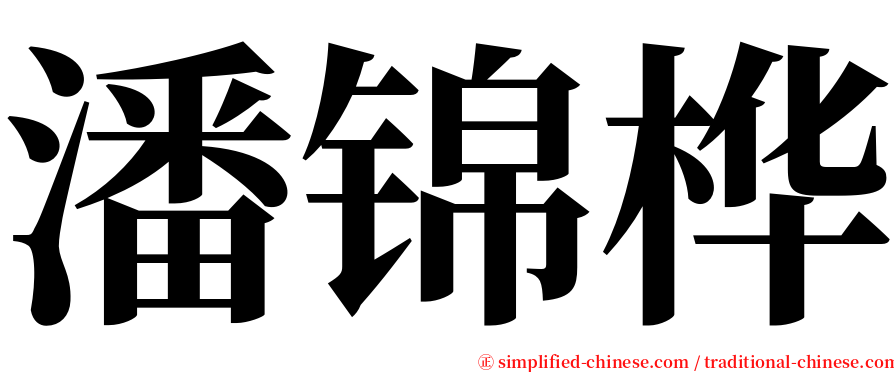 潘锦桦 serif font