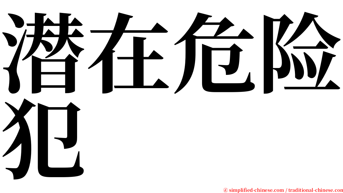 潜在危险犯 serif font