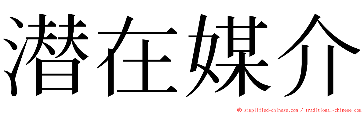 潜在媒介 ming font