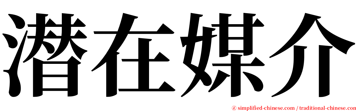 潜在媒介 serif font