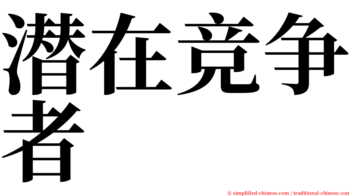 潜在竞争者 serif font