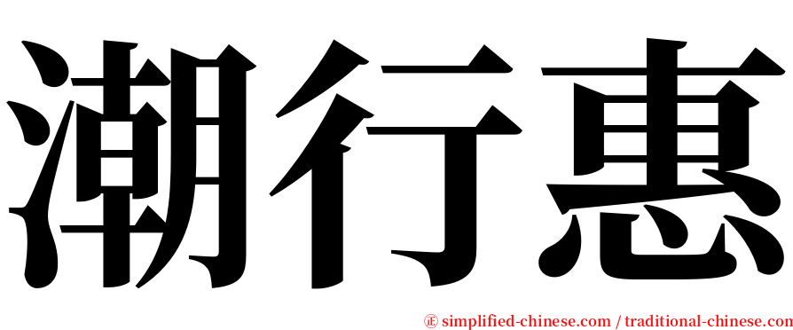 潮行惠 serif font