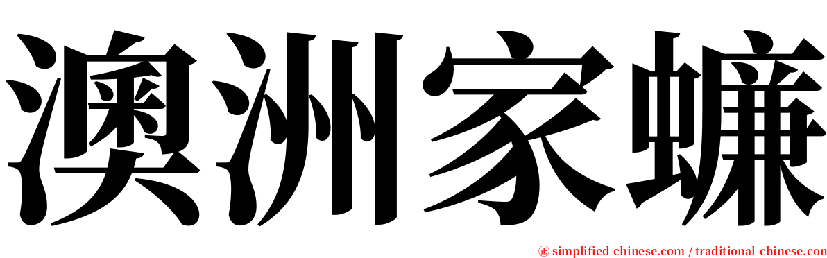 澳洲家蠊 serif font