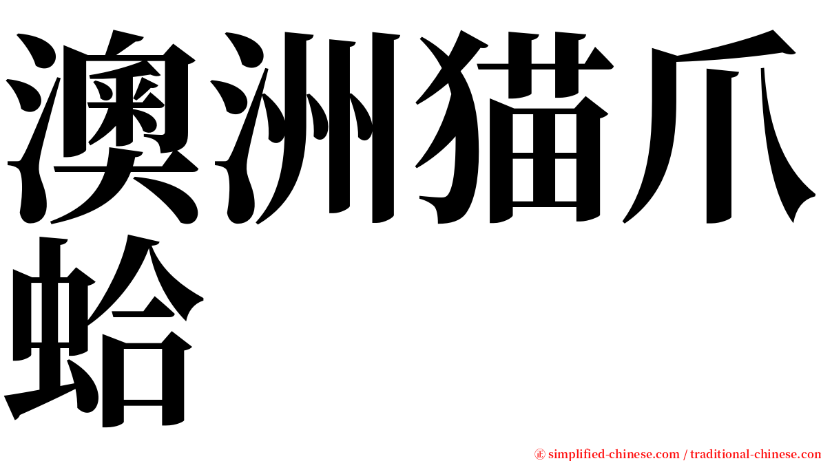 澳洲猫爪蛤 serif font