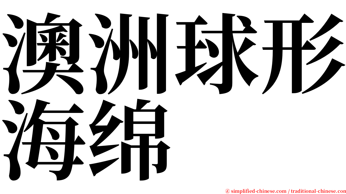 澳洲球形海绵 serif font