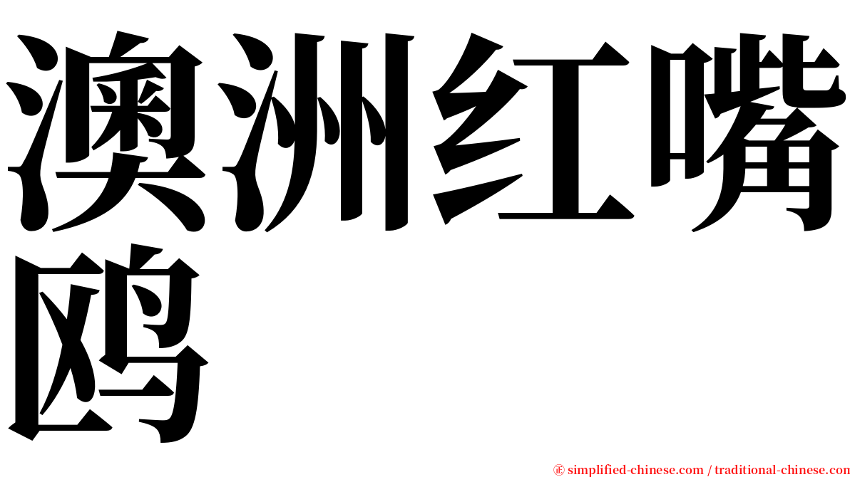 澳洲红嘴鸥 serif font