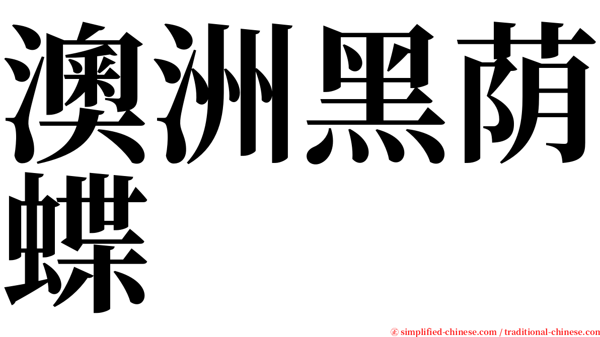 澳洲黑荫蝶 serif font