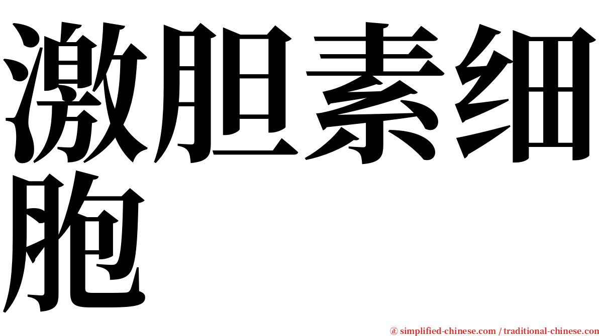 激胆素细胞 serif font