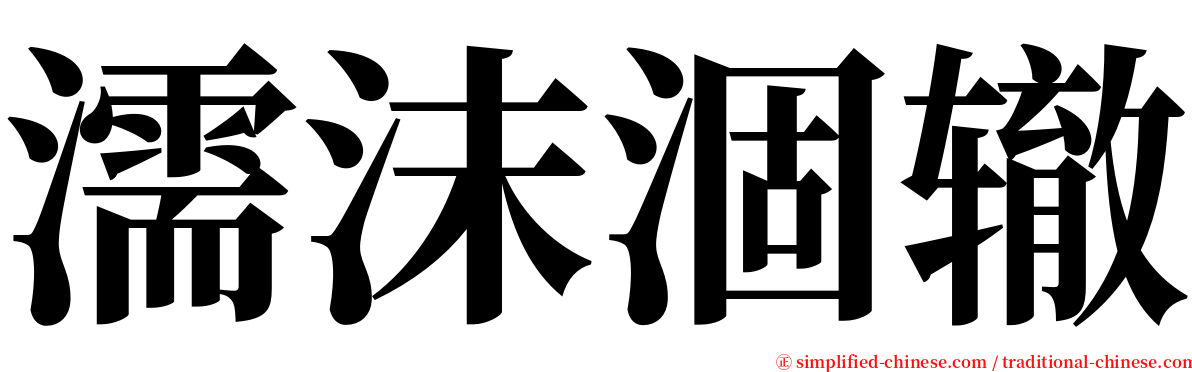 濡沫涸辙 serif font