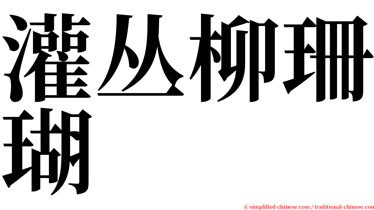 灌丛柳珊瑚 serif font