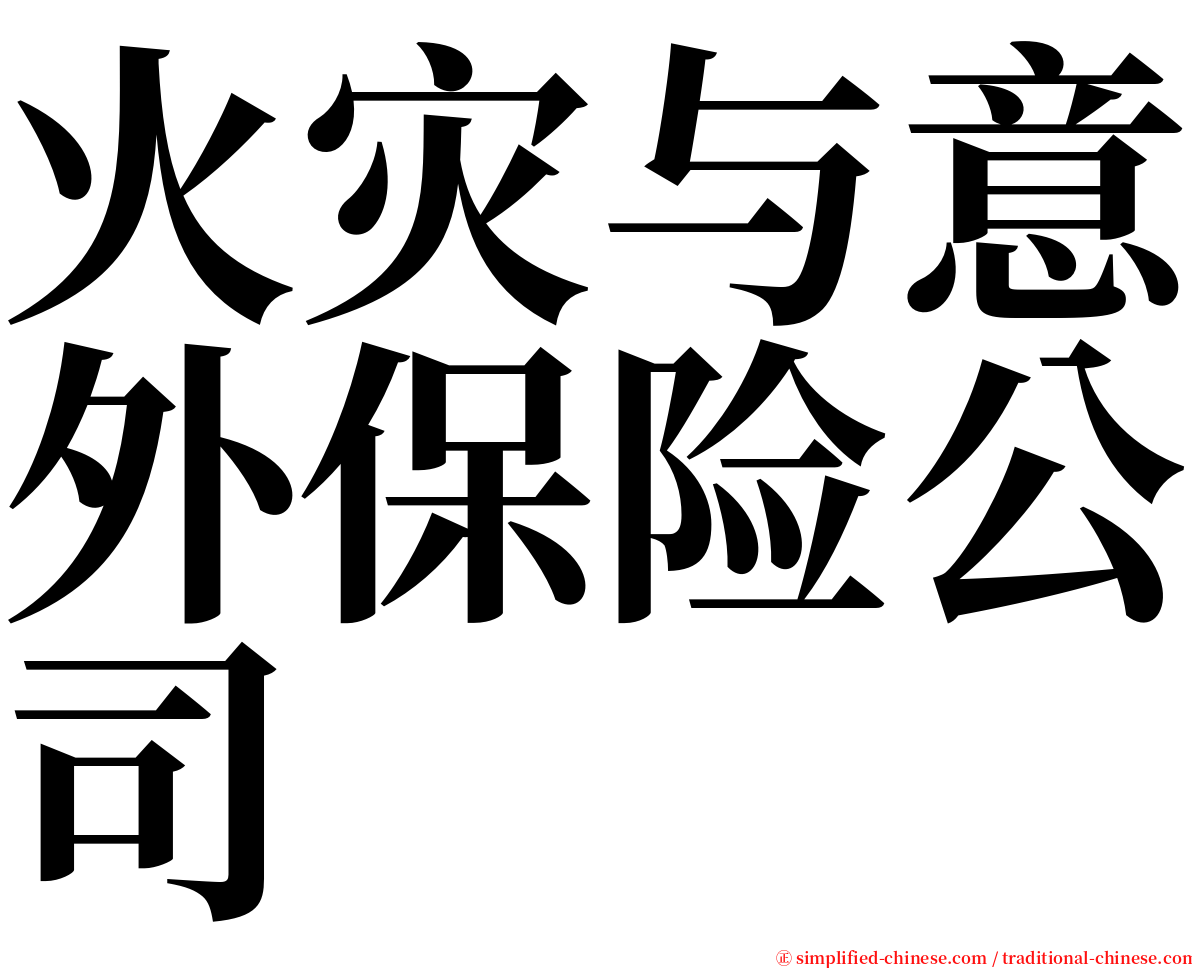 火灾与意外保险公司 serif font