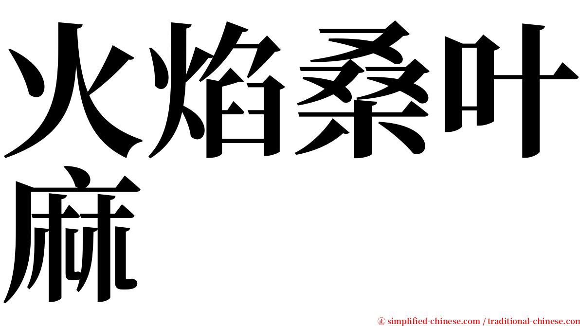 火焰桑叶麻 serif font