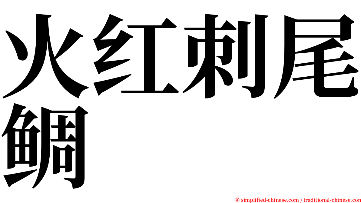 火红刺尾鲷 serif font