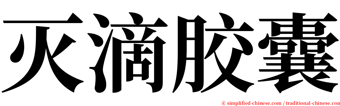 灭滴胶囊 serif font