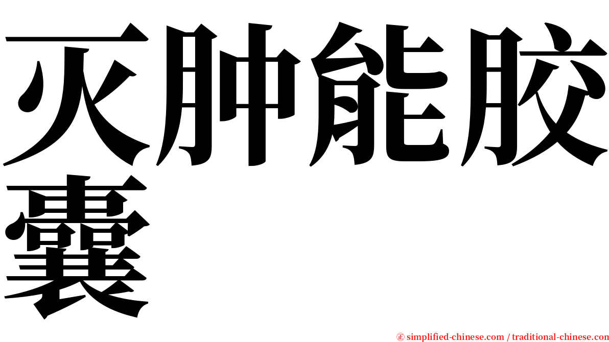 灭肿能胶囊 serif font