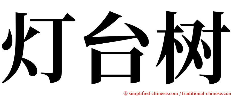 灯台树 serif font