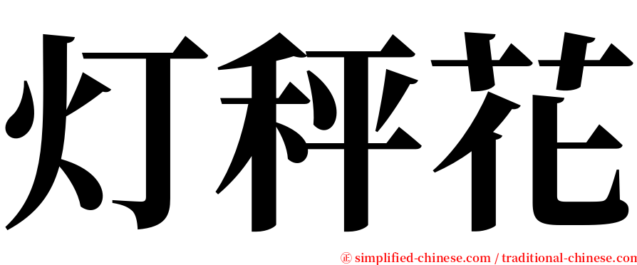 灯秤花 serif font
