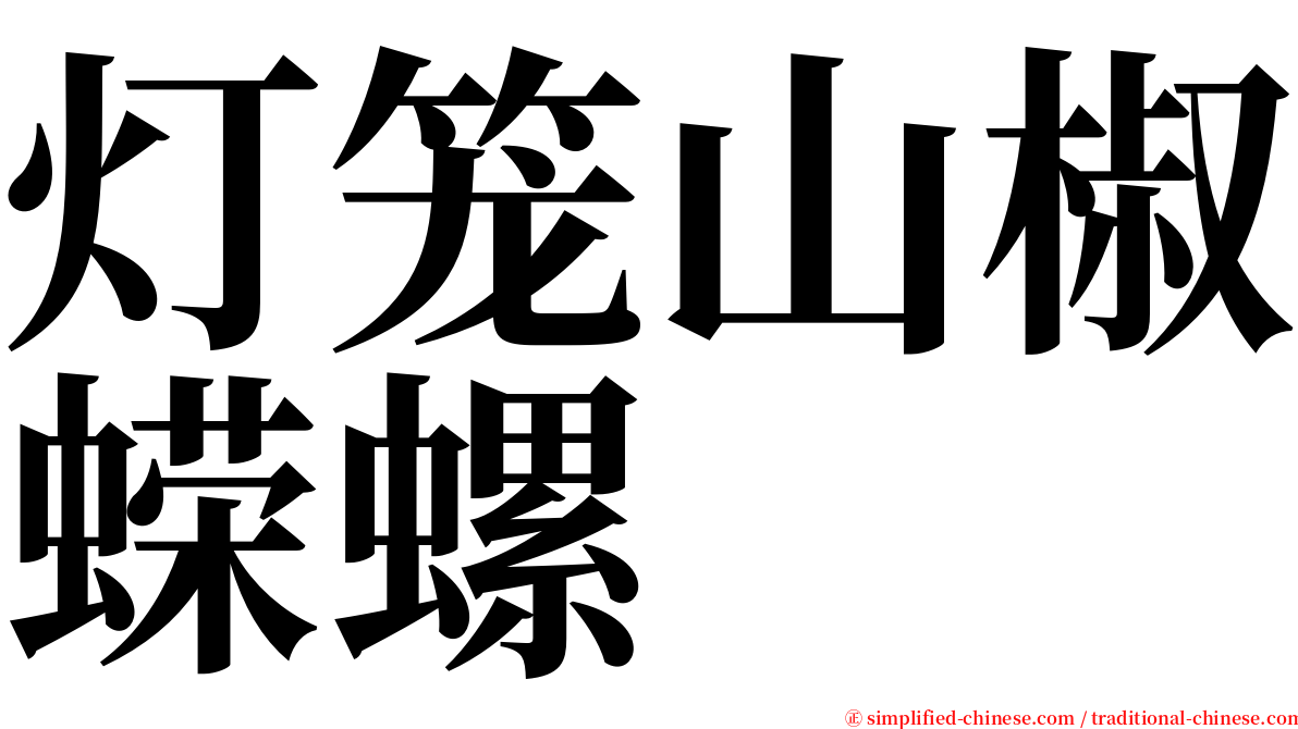 灯笼山椒蝾螺 serif font