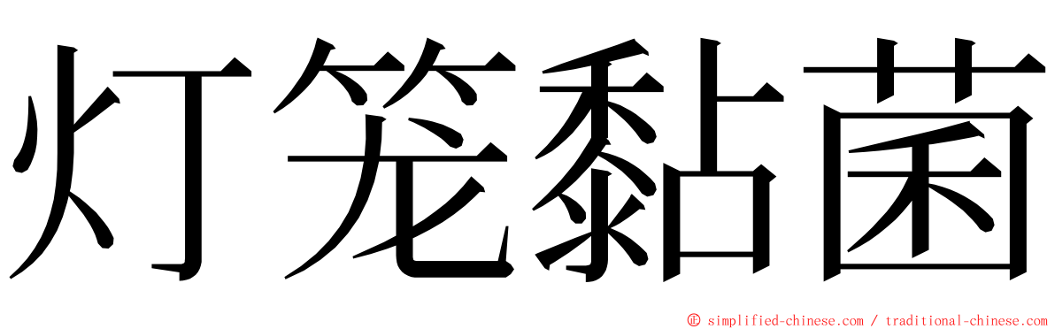 灯笼黏菌 ming font