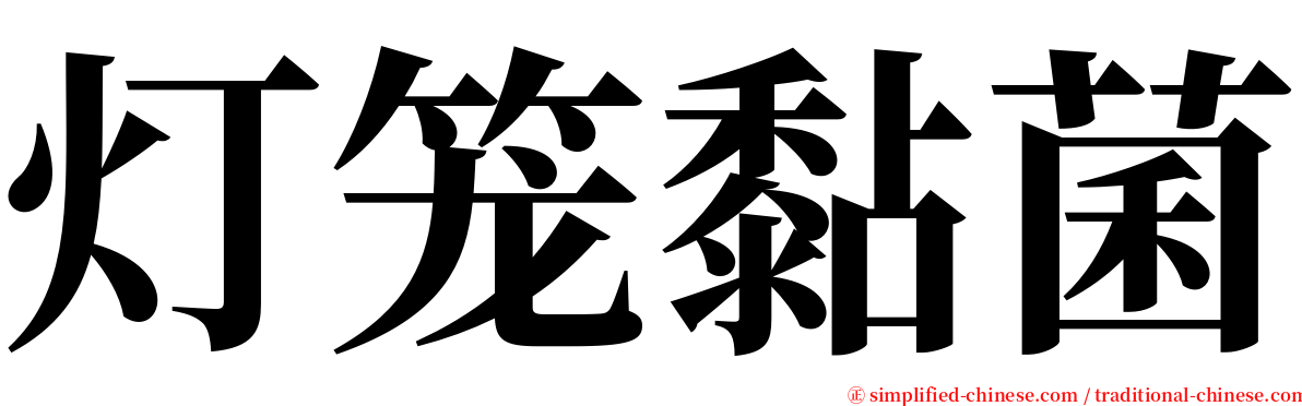 灯笼黏菌 serif font