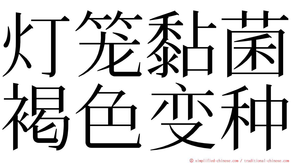 灯笼黏菌褐色变种 ming font